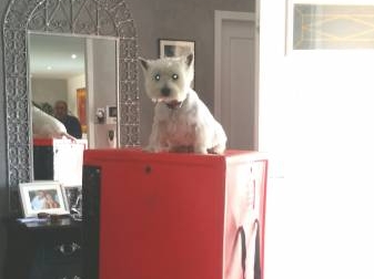 EMBALLAGE DES VETEMENTS SUR CINTRE