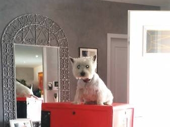 protection mobilier ADH 34