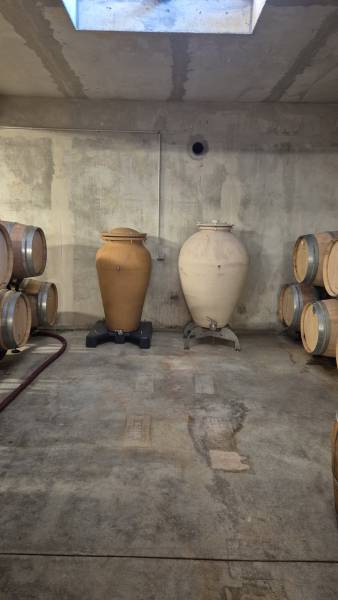 Amphores vinifications 
